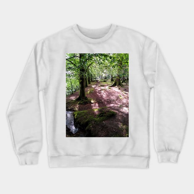 Highland woods near Loch Oich, Scotland Crewneck Sweatshirt by richflintphoto